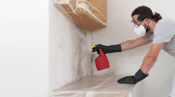 Professional Crawl Space Mold Remediation technician working in Maple, NC